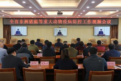 我市组织收听收看全省非洲猪瘟等重大动物疫病防控工作视频会议