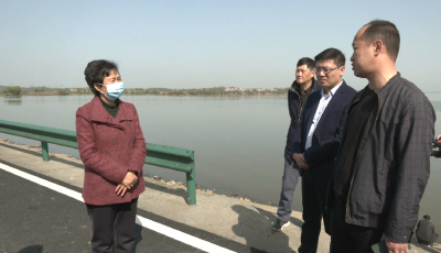 周蔚芬来冶巡查督导保安湖河湖长制和防汛备汛工作
