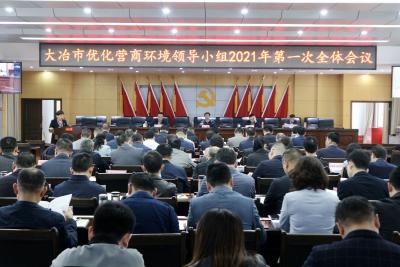 我市召开优化营商环境领导小组2021年第一次全体会议
