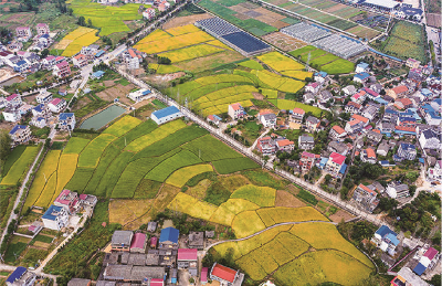 【我为群众办实事】村民“心上事” 事事放心上