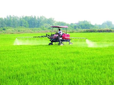 大冶市多措并举抓牢粮食生产