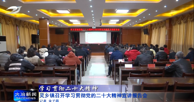 灵乡镇召开学习贯彻党的二十大精神宣讲报告会