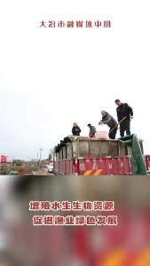 我市举行渔业增殖放流活动