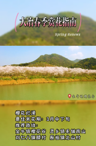 你们要的赏花指南来了