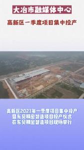 我市举行高新区一季度项目集中投产暨东贝精密智造项目投产仪式