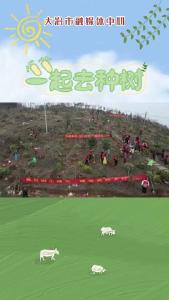 市“四大家”领导参加我市2023年春季集中义务植树活动