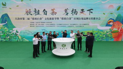 以茶为媒 共促发展——我市第二届“殷祖白茶”文化旅游节暨“殷祖白茶”区域公用品牌宣传推介活动侧记