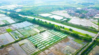 大冶湖大港入选 “母亲河复苏行动”名单