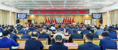 全市一季度经济形势分析会暨奋力“双过半”推进会召开