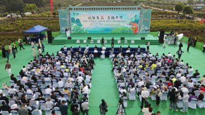 我市第二届“殷祖白茶”文化旅游节暨“殷祖白茶”区域公用品牌宣传推介活动举行