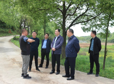 孙辄赴临空经济区·还地桥镇调研林长制、河湖长制等工作 统筹推进管绿护绿增绿  持续改善提升水环境质量