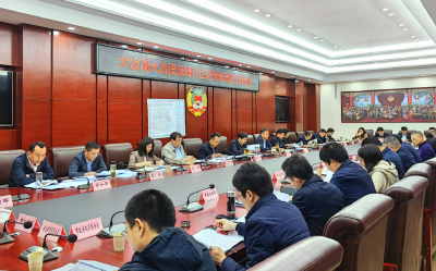 大冶湖大冶段流域片区河湖长制工作会议召开