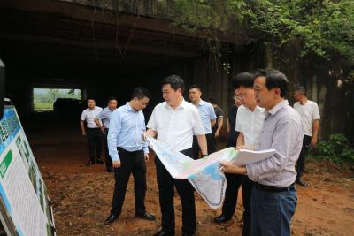 郝胜勇调研督导通道绿化工作 植管并重建立健全长效管护机制 全面提升乡村绿化美化水平