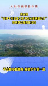 不忘初心担使命 真抓实干创一流——灵乡镇“办好十大民生工程 争当人民满意公仆”联系群众服务日活动