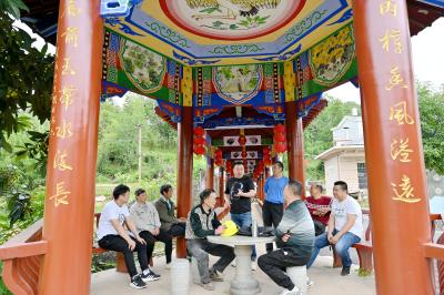 灵乡镇：村庄理事会“会理事”