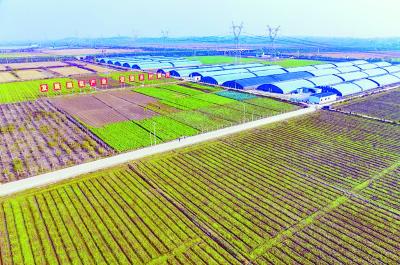 【保持“拼抢实”·奋进“五十强” 聚焦八大行动之乡村振兴】强龙头 补链条 兴业态 树品牌 大箕铺镇奏响乡村振兴最强音