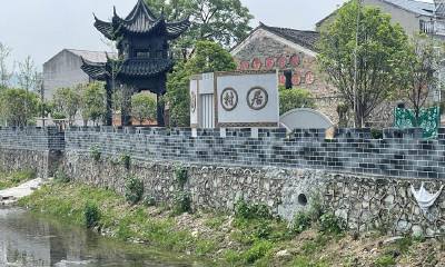 【保持“拼抢实”·奋进“五十强” 聚焦八大行动之乡村振兴】陈贵镇：奋力书写乡村振兴“精彩答卷”