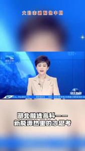 大冶民营企业激荡荆楚|湖北融通高科——新能源热里的冷思考