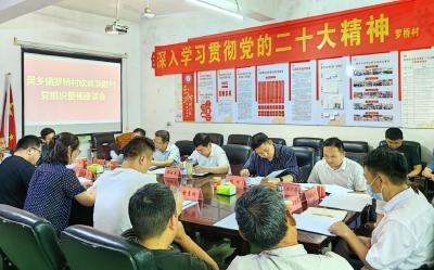 郝胜勇赴灵乡镇罗桥村调研软弱涣散党组织整顿工作 找准症结对症下药 全面完成各项整顿工作任务