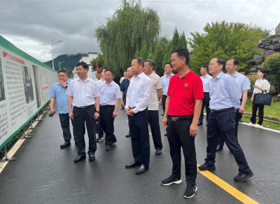 刘雪荣来我市调研城市更新等工作 高质量起草城市更新方面法规 调动各方资源要素实现共建共治共享