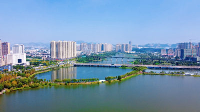 以“质”取胜奏响质量强市最强音