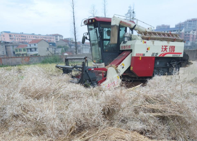 【大美大冶 共同缔造】农科村：用共同缔造理念 念好秸秆“禁烧经”