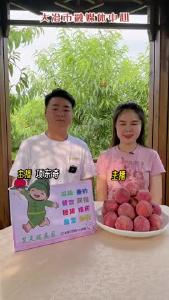 保安沼山狗血桃成熟了