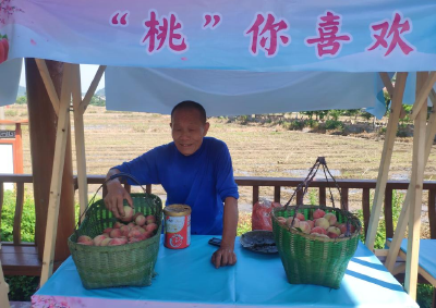 【保持“拼抢实”·奋进“五十强” 聚焦八大行动之乡村振兴】“桃”你喜欢 “桃”你性情 保安第十五届采桃季盛大开幕 　　