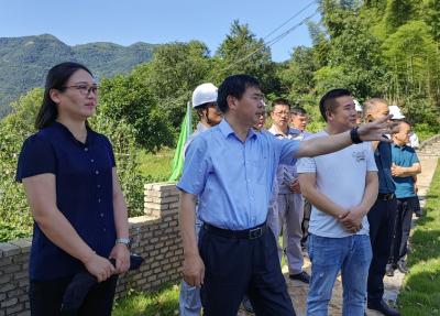 郝胜勇赴灵乡镇调研全域国土综合整治项目建设、小流域综合治理活动