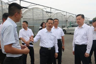 省机关事务管理局来我市调研 规范公务用车管理 有序推进垃圾分类工作