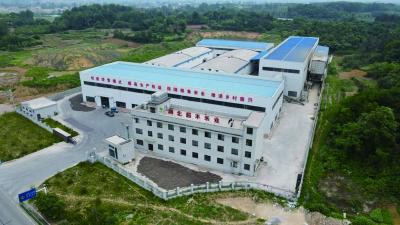 【保持“拼抢实”·奋进“五十强” 聚焦八大行动之乡村振兴】超丰米业：“订单农业”助力乡村振兴