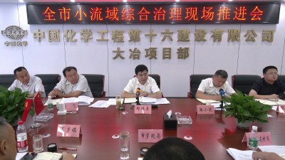 全市小流域综合治理现场推进会召开 坚持系统观念 运用统筹方法 扎实开展小流域综合治理试点工作