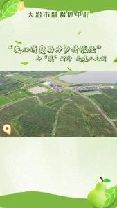 “爱心消费助力乡村振兴”——与“梨”相约  走进三山湖