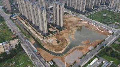 【直达基层 聚焦十件实事】尹家湖生态公园项目加快推进