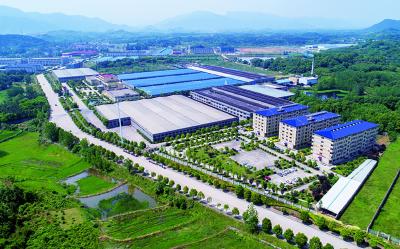 【理“响”大冶】聚焦“六个发力” 勇当镇域经济发展排头兵——陈贵镇党委书记 柯红云