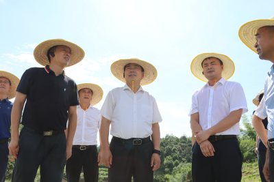 郝胜勇赴阳新县开展区域协作工作 共同做大做强产业集群 推动区域协作取得更多实效