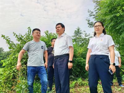 郝胜勇检查防汛救灾工作并慰问基层党组织