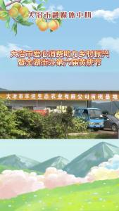 大冶市爱心消费助力乡村振兴暨金湖街办第六届黄桃节