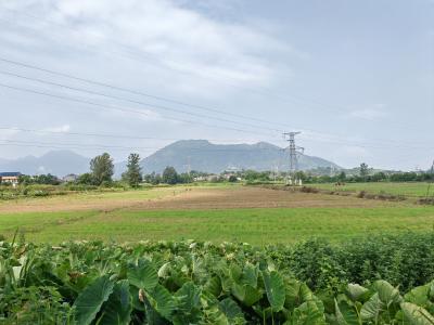 郝胜勇调研耕地流失整治、高标准农田建设、 撂荒地整治、粮食安全工作