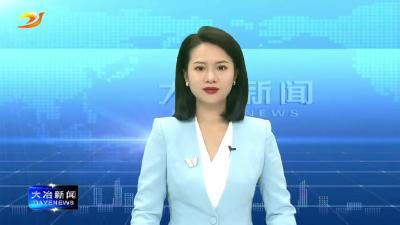 2023年大冶市优化营商环境先行区创建工作新闻发布会