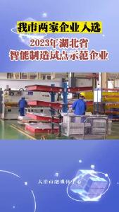 我市两家企业入选湖北省智能制造试点示范企业
