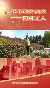 高温下的劳动者——园林工人