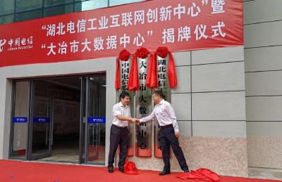 湖北电信工业互联网创新中心暨大冶市大数据中心揭牌仪式举行