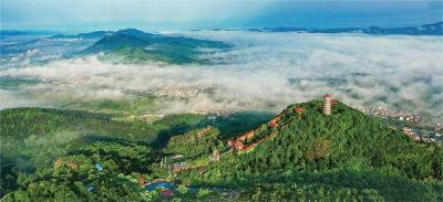 我市入选“2023年国家乡村振兴示范县创建”公示名单