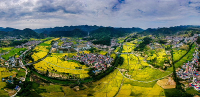 【保持“拼抢实”·奋进“五十强” 聚焦八大行动之乡村振兴】龙凤山集团：绿色做底色 发展有亮色