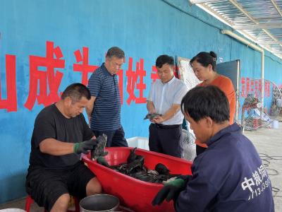 市人大调研水产产业链工作