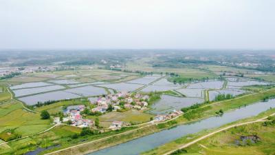 金牛镇入选首批国家农业产业强镇