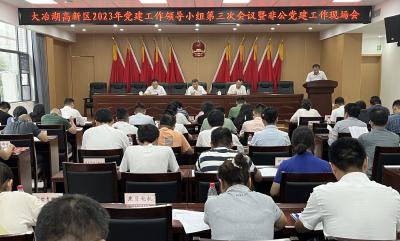 【保持“拼抢实”·奋进“五十强” 聚焦八大行动之党建引领】做强非公党建 助推经济高质量发展 大冶湖高新区召开2023年党建工作领导小组第三次会议暨非公党建工作现场会