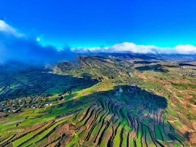 品质 ——劲牌人的不懈追求