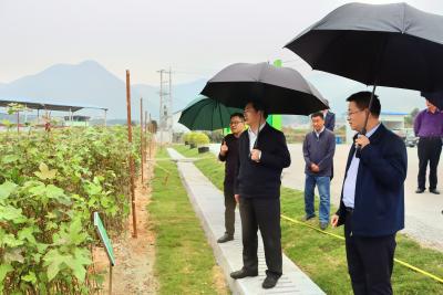 郝胜勇调研林长制、森林防火工作 全面推行林长制 筑牢森林防火墙 坚决守护好大冶的绿水青山